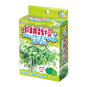 Ă̂Ђ k͔|ŃubR[XvEgĂ悤 055944i559445jmߋ q w   A R A[ebN+