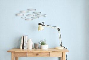 EH[fR 3ZbgiFish)y CeA G Ǐ ǎV[ fR[V EH[fR i zR24-1051E1052E1053