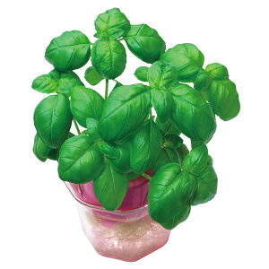 �o�W�� 0.5mL ���� 102989 (029890)�A�[�e�b�N+