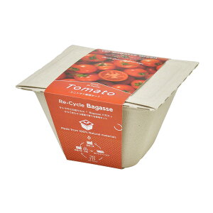 oKXO[ ~jg}g (039792)