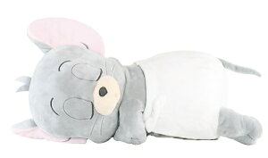 y12{ׁzgƃWF[₷eBbVJo[@^tB[/TF 255573yCZXizebVP[X