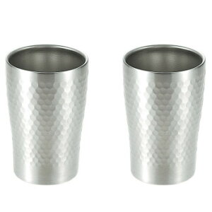 �D �X�e�����X��d�^���u���[280ml 2pcs SOH-300