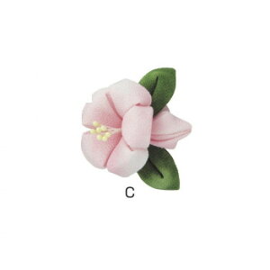 IpX ͂߂Ă̂܂ݍ׍H Lbg nCrXJX̃u[` TZ-9@C