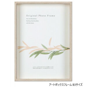 A.P.J. BOXt[ A[g{bNXt[(:35mm) B3TCY(364×515mm)@pXezCgE0021768436