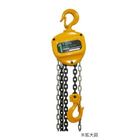 チェーンブロック　1トン　揚程3m　YCB10003M　107982