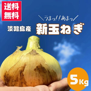淡路島 新 玉ねぎの人気商品 通販 価格比較 価格 Com
