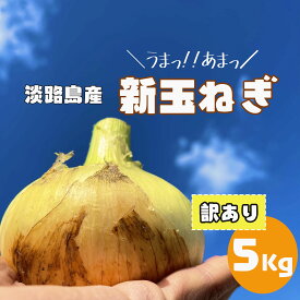 『糖度9度～10度』【訳あり】【送料無料】淡路島　玉ねぎ　5kg　玉ねぎ　たまねぎ　タマネギ　玉ネギ　玉葱　淡路島たまねぎ　兵庫県産　淡路島産　淡路島たまねぎ　淡路島玉ねぎ　淡路島タマネギ　産地直送　農家直送　5キロ