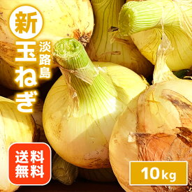 【送料無料】淡路島 新玉ねぎ　10kg　たまねぎ　タマネギ　玉ネギ　玉葱　淡路島たまねぎ　兵庫県産　淡路島産　淡路島たまねぎ　淡路島玉ねぎ　淡路島タマネギ　産地直送　農家直送　10キロ