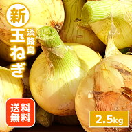 【送料無料】淡路島　新玉ねぎ　2.5kg　たまねぎ　タマネギ　玉ネギ　玉葱　淡路島たまねぎ　兵庫県産　…