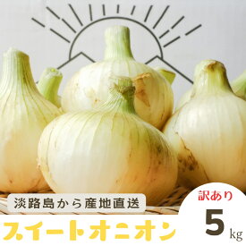 『糖度9度～10度』【訳あり】【送料無料】淡路島　玉ねぎ　5kg　玉ねぎ　たまねぎ　タマネギ　玉ネギ　玉葱　淡路島たまねぎ　兵庫県産　淡路島産　淡路島たまねぎ　淡路島玉ねぎ　淡路島タマネギ　産地直送　農家直送　5キロ