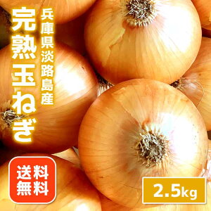 yzWH@ʂ˂@2.5kg@܂˂@^}lM@ʃlM@ʔK@WH܂˂@ɌY@WHY@WH܂˂@WHʂ˂@WH^}lM@Yn@_ƒ@2.