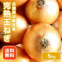 【送料無料】淡路島 玉ねぎ　5kg　たまねぎ タマネギ　玉ネギ　玉葱　淡路島たまねぎ　兵庫県産　淡路島産　淡路島た…