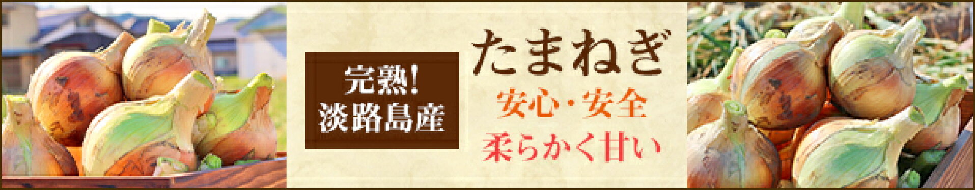 淡路島産完熟たまねぎ