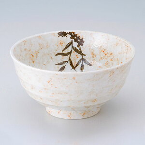 5.5 p u a16.8cm×8.8cm 1000cc ǂԂ ǂ  Jc  aH Z {