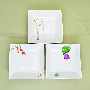 y󂠂z ₳ p唫 Zbg ϕ p ؁yAEgbg ݌ɏz