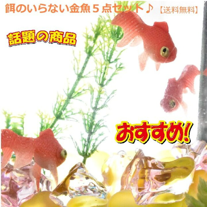 楽天市場 餌のいらない金魚 ５点セット 送料無料 金魚 金魚鉢 アクアリウム うかぶ金魚 浮かぶ 景品 インテリア 可愛い 置物 雑貨 手間いらず 餌いらない 餌いらず 癒し 癒し系 きれい 汚れない 涼しい 玄関 リビング お得 セット おしゃれ かわいい プレゼント ギフト