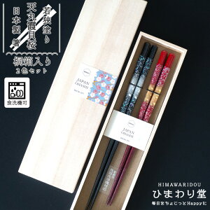 y_50OFF^300~N[|z yAZbg  ዷh { H@Ή ~ ׂɂ  23cm 21cm ˔ v[g Mtg   VۉL Ђ܂蓰 lR