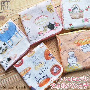 yShinzi KatohzwVg/˂px^InJ` 23×23cm K[[ Q K[[nJ` VWJgE JgEVW L lR ˂ x[J[ { Y B^I v[g Mtg 