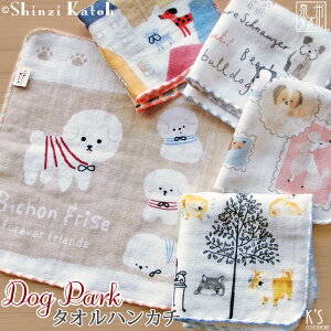 yGg[&3wōőP15{IzyShinzi KatohzwhbOp[Nx^InJ` 23×23cm K[[ Q K[[nJ` ObY G VWJgE JgEVW { Y B^I 