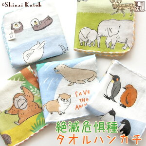 yShinzi KatohzwŊ뜜x^InJ` 23×23cm K[[ Q K[[nJ` Aj} ObY  G q ۈ牀 VWJgE JgEVW { Y B^I Mtg 