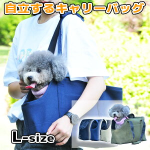 ^p ^^p ybgpi ^ ^ L[obO zg[gobO  @\ s o U  L LTCY LoX 킢  Vv i I[V