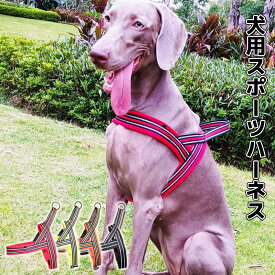 犬 ハーネス 胴輪 中型犬 スポーツハーネス 小型犬 大型犬 超大型犬 かわいい おしゃれ 犬用品 ペット ペット用品 簡単装着 快適 送料無料 軽量 抜けない 動きやすい 犬用 ストレスフリー