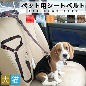   V[gxg ybg p ԗp [h wbhXgt pV[gxg ybgpV[gxg яoh~  㕔 hCu L ybgpi ^[h