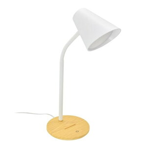 I[ LEDfXNCg DS-LS24N-WN zCg/ؖڒ