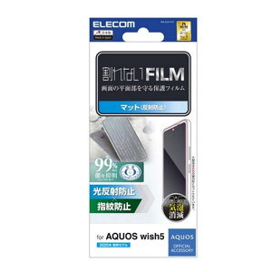 �G���R�� AQUOS wish5�Ή� ��ʕی�t�B���� PM-S251FLF