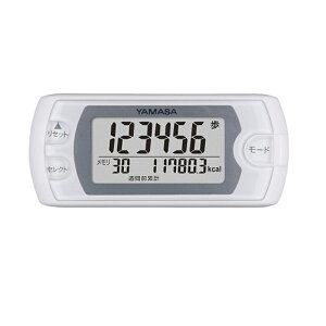 Rvv |Pbg EX-500-W sAzCg