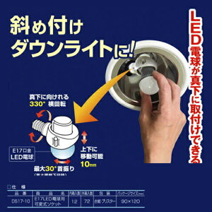 RITEXiCebNX) E17LEDdpώ\Pbg DS17-10 zCg