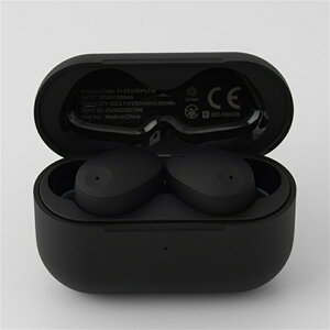 finalit@Cij CXCz@ZE300 BLACK FI-ZE03DPLTWBK