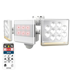 RITEXiCebNX) 12W×2 t[A[LEDZT[Cg Rt LED-AC2030