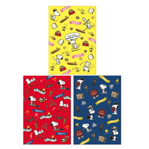 iJoV ~j|PbgAo3pbN@Xk[s[ A-PAL-205-3P