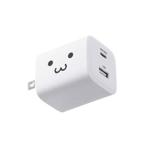 GR USB Power Delivery 45W AC[d(C×1+A×1) MPA-AC11045WF 낿(zCg×ubN)