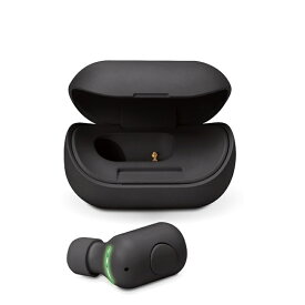 PGA Bluetooth 5.0搭載 片耳ワイヤレスイヤホン PG-BTE13BC1BK ブラック