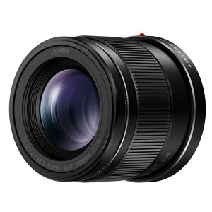 Panasonic�i�p�i�\�j�b�N�j �����p�����Y�@�}�C�N���t�H�[�T�[�Y H-HS043A-K �u���b�N