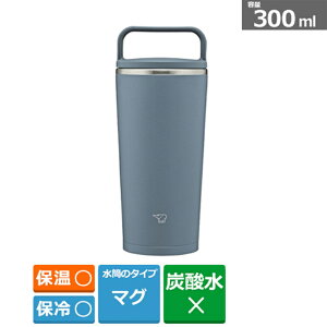 ۈ}z[r V[X XeX L[^u[ 0.3L SX-JS30 AM A[ou[