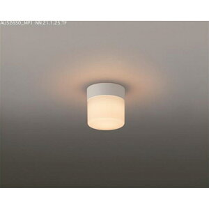 Ɩ LED BW220001B