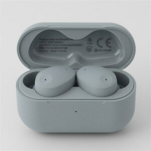 finalit@Cij CXCz@ZE300 SKY GRAY FI-ZE03DPLTWSG