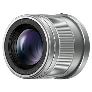 Panasonic�i�p�i�\�j�b�N�j �����p�����Y�@�}�C�N���t�H�[�T�[�Y H-HS043A-S �V���o�[