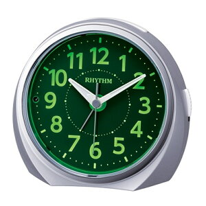 RHYTHMiYj ڊo܂v@[NR666 8RE666SR19