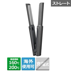 TESCOM �i�e�X�R���j USB ���o�C�� �w�A�A�C���� TS310A-H ���^���b�N�O���[
