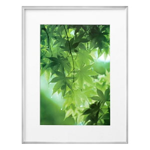 nNoʐ^Y z@A3 FZG01-A3SV Vo[