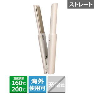 TESCOM �i�e�X�R���j USB ���o�C�� �w�A�A�C���� TS310A-C �p�[���O���[�W��