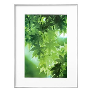 nNoʐ^Y z@A3mr FZG01-A3NSV Vo[