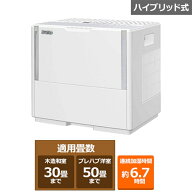 ダイニチ工業 ハイブリッド式加湿器 PN TYPE パワフルモデル HD-PN185(W) ホワイト（W）