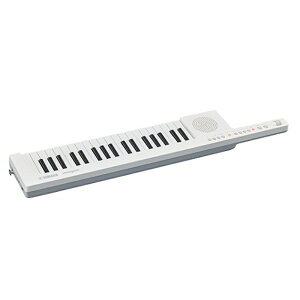 }n V_[L[{[h SHS-300WH zCg