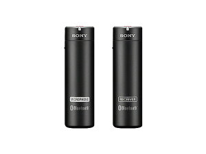 SONYi\j[j CX}CNz ECM-AW4