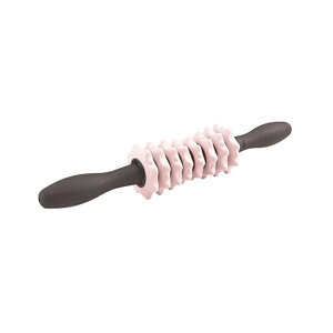 ACR JX^XeBbN MVS301P pE_[sN